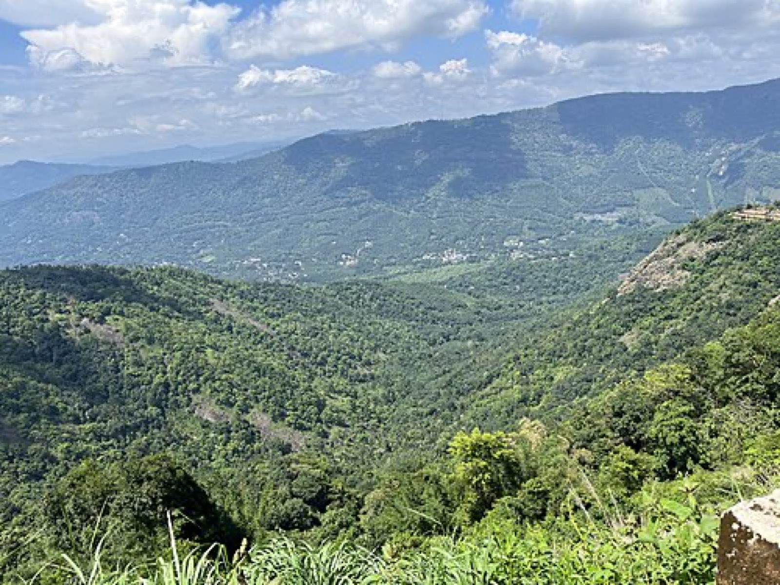 Forested valleys of the Western Ghats in Idukki, Kerala