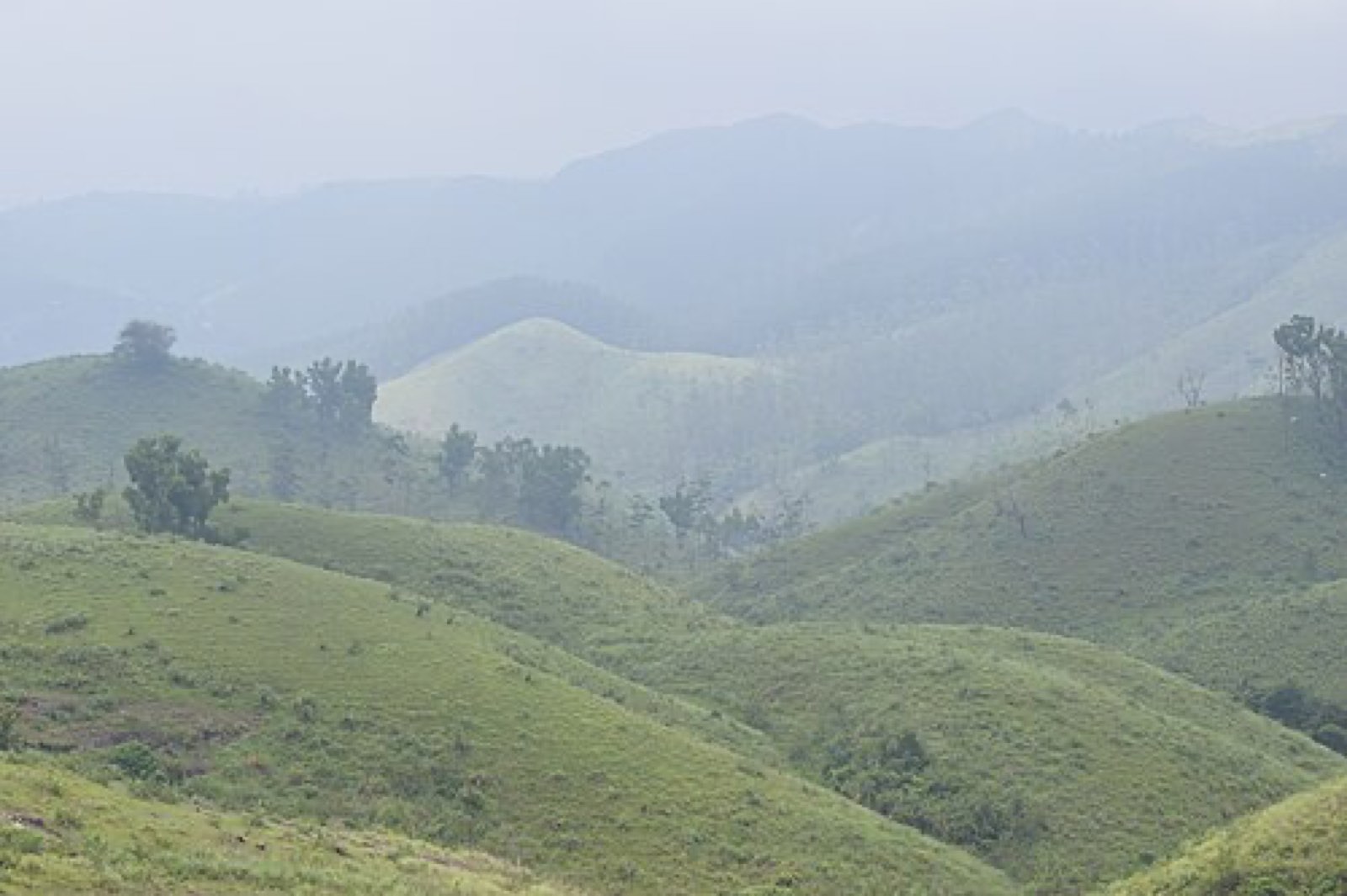 Mist over the rolling hills of Idukki