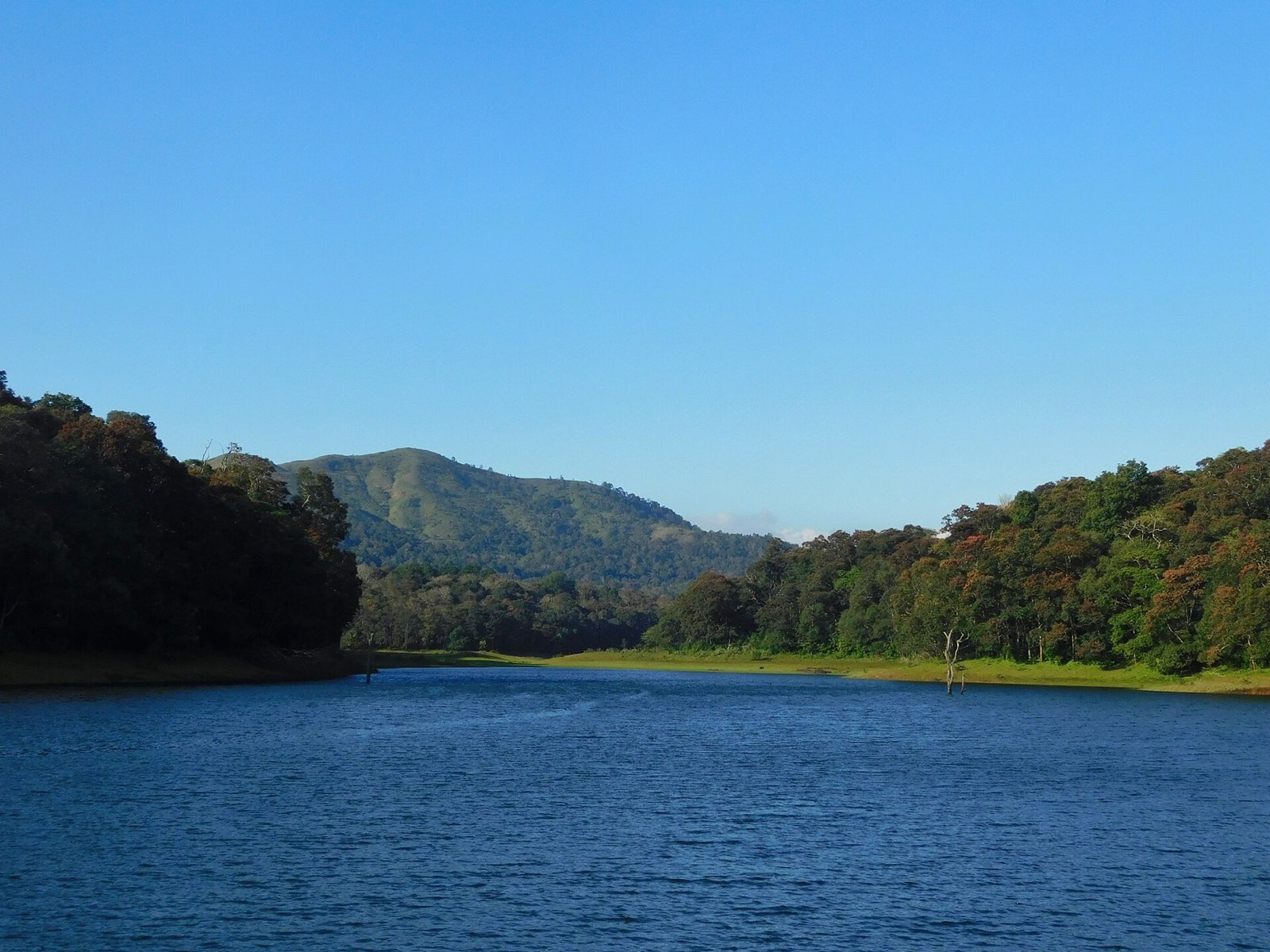 Periyar lake ringed by forested hills under a clear blue sky